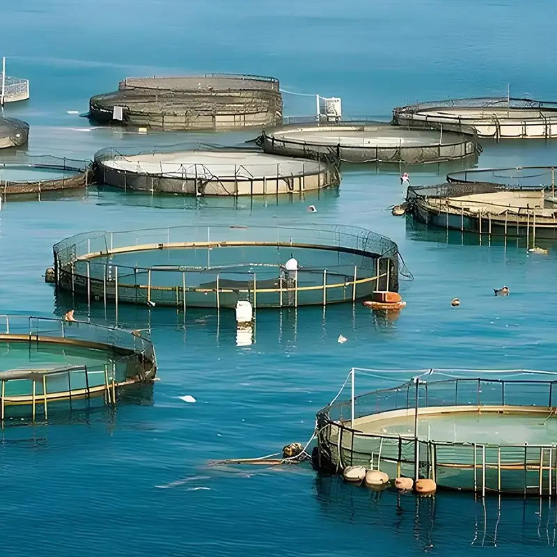 Aquaculture