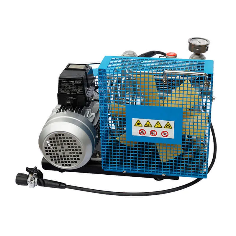 SLT 100 Respirator Air Pump2
