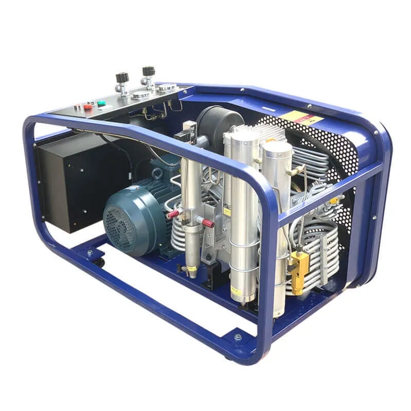 SLT 200 Respirator Air Pump1