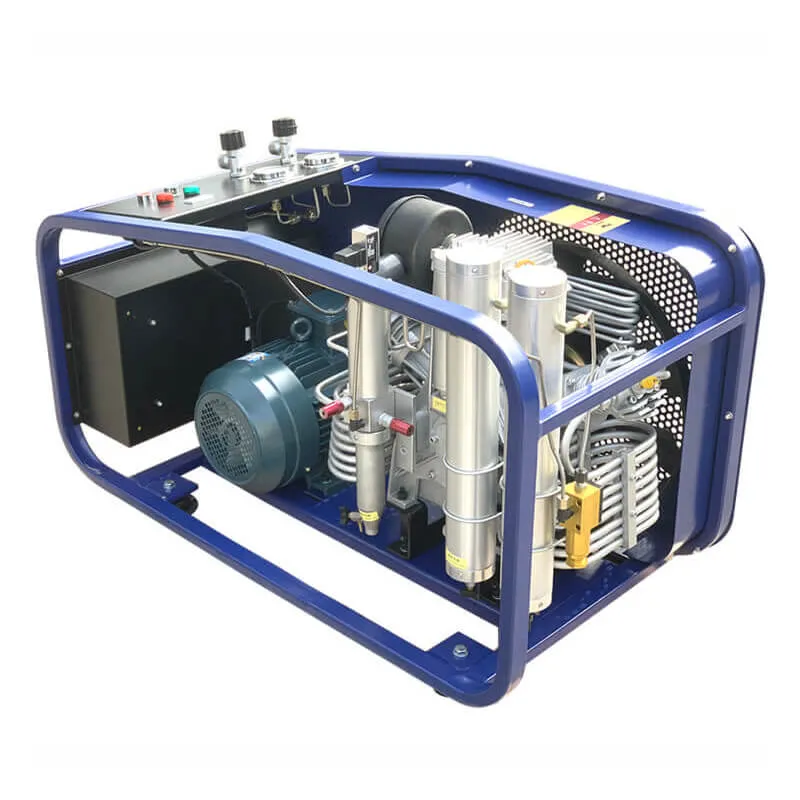 SLT 300 Respirator Air Pump1